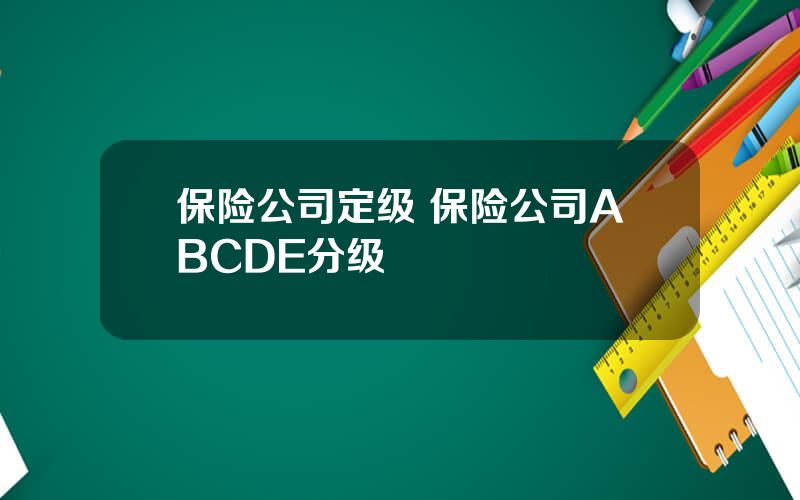 保险公司定级 保险公司ABCDE分级